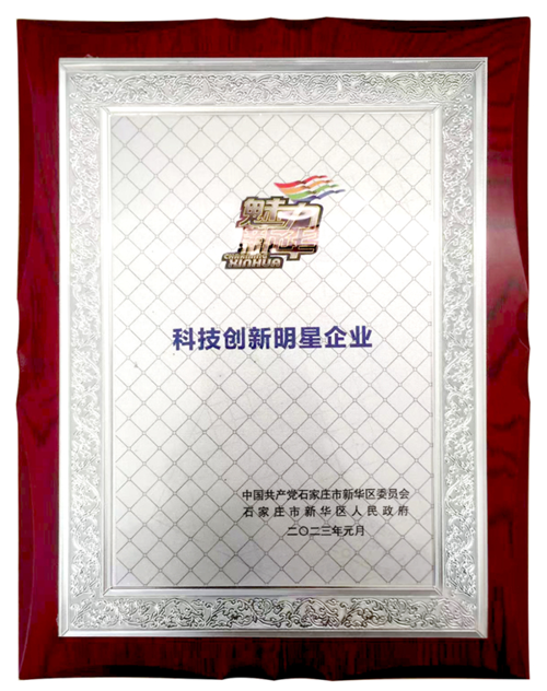 大红鹰dhy裝飾榮獲新華區政府頒發“科技創新明星企業”榮譽稱號