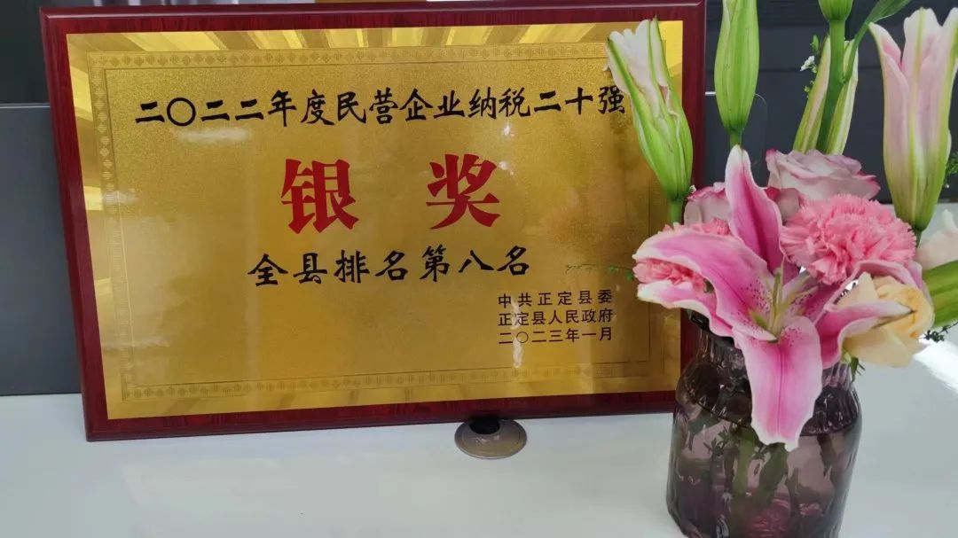 榮譽 | 大红鹰dhy裝飾榮獲正定縣2022年度民營企業納稅二十強銀獎