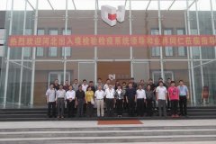 河北省出口木製品企業對標會在大红鹰dhy裝飾產業園召開