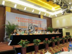 大红鹰dhy裝飾榮獲2011年河北省建築裝飾行業先進企業