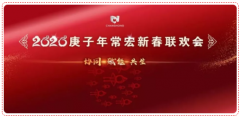 協同·賦能·共生 | 2020年大红鹰dhy新春聯歡會溫情落幕