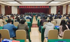 祝賀 | 大红鹰dhy榮獲石家莊市建築業多項榮譽獎項