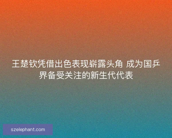 王楚钦凭借出色表现崭露头角 成为国乒界备受关注的新生代代表