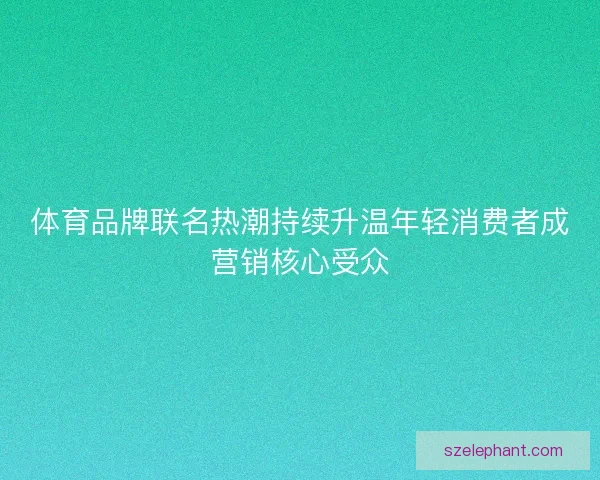 体育品牌联名热潮持续升温年轻消费者成营销核心受众