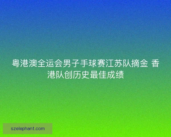 粤港澳全运会男子手球赛江苏队摘金 香港队创历史最佳成绩