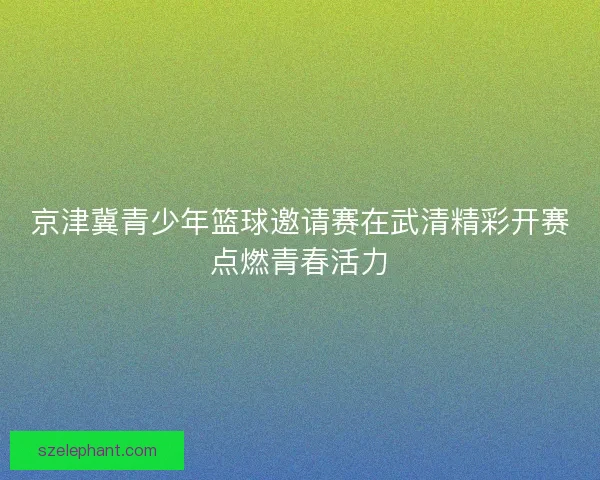 京津冀青少年篮球邀请赛在武清精彩开赛点燃青春活力