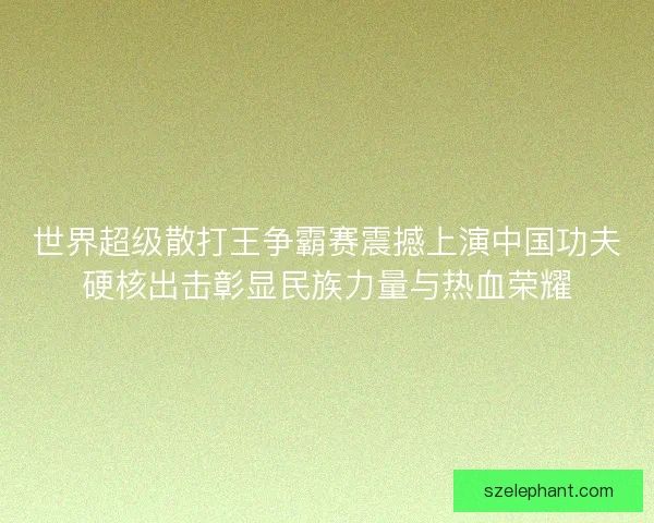 世界超级散打王争霸赛震撼上演中国功夫硬核出击彰显民族力量与热血荣耀